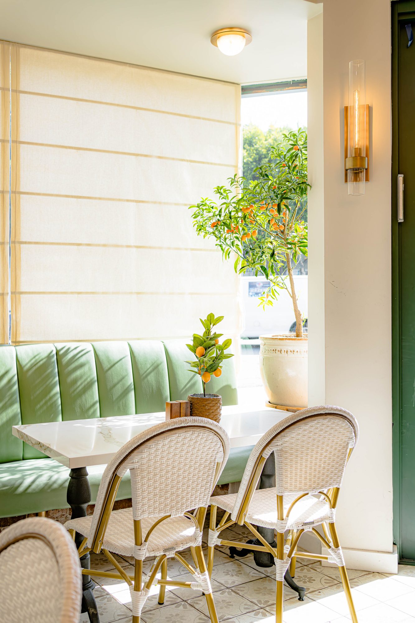 Daylit corner of the Lamalo café with citrus tree and wall sconces